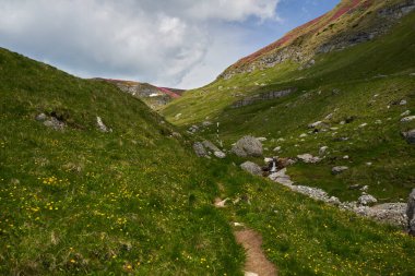 Yazın, geniş çayırlarda, sarı yabani çiçeklerle kaplı dağlarla kaplı manzara.