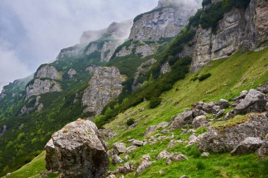 Gün batımından sonraki dağların manzarası sisli bir manzarada çimenli çayırlar ve büyük kayalar