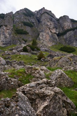 Yağmurdan sonra dağlar sisli bir manzarayla çimenli çayırlar ve büyük kayalarla
