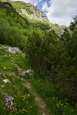 Yaz aylarında yürüyüş yolları olan güzel dağlarla dolu bir manzara.