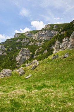 Yaz aylarında yürüyüş yolları olan güzel dağlarla dolu bir manzara.