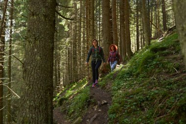 Sırt çantalı kadın yürüyüşçüler dağlarda yürüyüş parkurunda maceraya atıldılar.