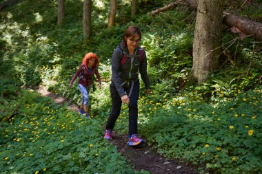 Sırt çantalı yürüyüşçüler dağlarda yürüyüş yapıyor, gündüz görüşü var. 