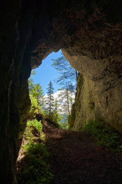 Yazın kireçtaşı dağlarında bir mağara girişi.