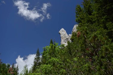 Yüksek dağlarla, çam ağaçlarıyla ve köknar ormanlarıyla manzaralı bir yer.
