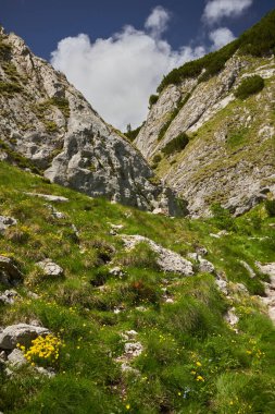 Yüksek dağlarla, çam ağaçlarıyla ve köknar ormanlarıyla manzaralı bir yer.
