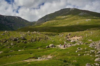 Yüksek dağları ve ormanları olan yaz manzarası