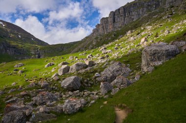 Yüksek dağları ve çam ormanları olan yaz manzarası