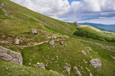 Yüksek dağlar ve köknar ormanlarıyla gündüz dağları manzarası
