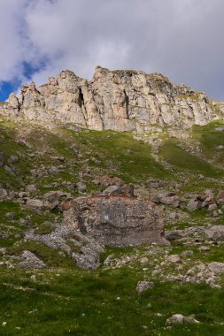 Yüksek dağları, çamı ve köknar ormanları olan yaz dağları manzarası