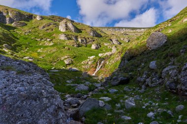 Yüksek dağları, çamı ve köknar ormanları olan görkemli alp manzarası