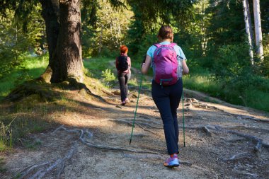 Sırt çantalı ve sırıklı iki kadın dağlarda yürüyüş yapıyor.