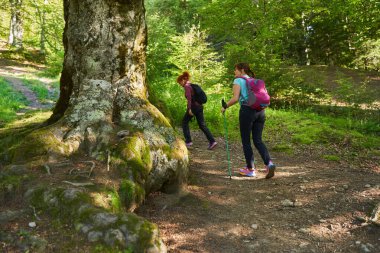 Sırt çantalı ve sırıklı iki kadın dağlarda yürüyüş yapıyor.