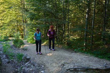 Ormanlarda yürüyüş yapan iki kadın var.