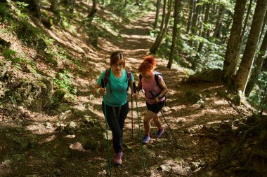 Ormanlarda yürüyüş yapan iki kadın var.