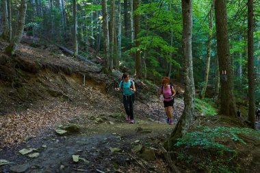 Sırt çantalı ve direkli iki yürüyüşçü dağda yürüyüş parkurunda.