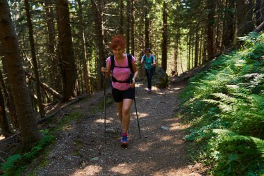 Sırt çantalı ve sırıkla dağlarda yürüyüş yapan yürüyüşçüler. 