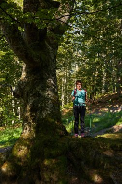 Yürüyüş direkleri olan kadın yürüyüşçü ormandaki patikalarda dağlara doğru yürüyor.