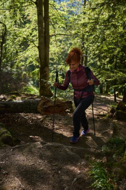 Kızıl saçlı yürüyüşçü, yürüyüş direkleri ile dağlara doğru yürüyor ormanda bir patika üzerinde