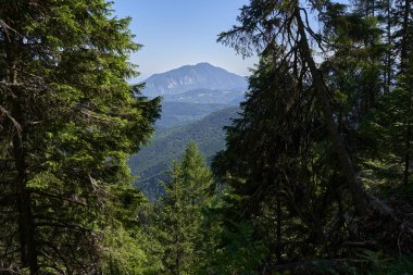 Yaz mevsiminde ormanlarla kaplı dağlarla gündüz manzarası