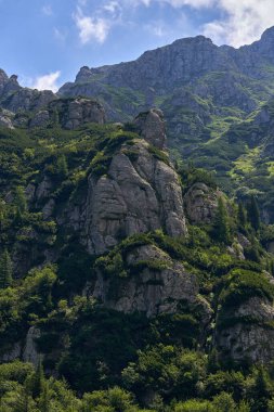 Yazın ortasında yemyeşil orman ve zirvelerle kaplı kayalık dağlarla dolu manzaralı bir yer.