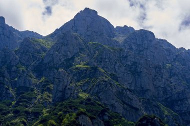 Orman ve tepelerle kaplı dağlarla kaplı bir manzara. 