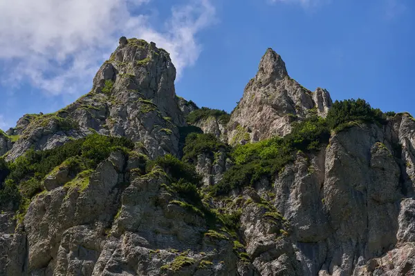 Gündüz vakti dağların olduğu güzel bir yerde resim gibi bir manzara. 