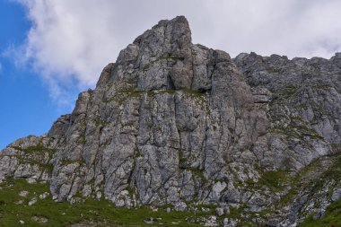 Dağları çevreleyen yeşil bitkiler yazın ortasında dağları görüyorlar.