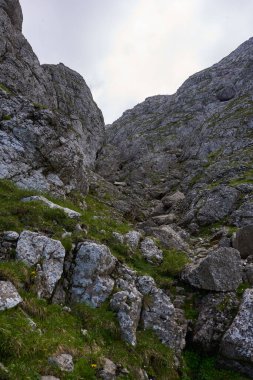 Rocky dağları gündüz yeşil bitkilerle kaplıdır. 