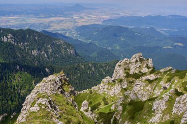 Rocky dağları gündüz yeşil bitkilerle kaplıdır. 