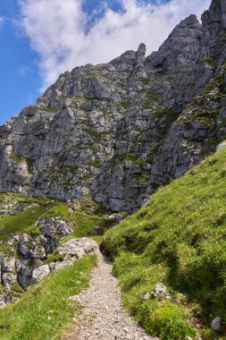 Rocky dağları gündüz yeşil bitkilerle kaplıdır. 