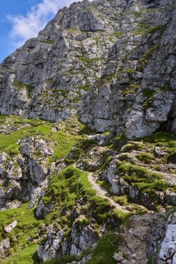 Rocky dağları gündüz yeşil bitkilerle kaplıdır. 