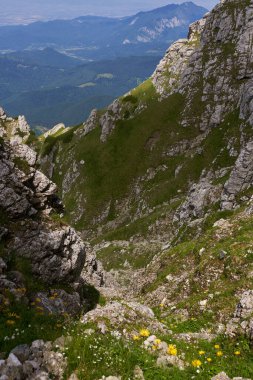 Resimli dağlık arazi gündüz vakti yaz dağlarında görünür. 