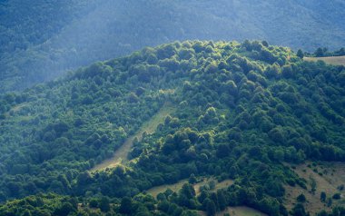 Yaz sabahı ormanlarla kaplı dağların havadan görünüşü.