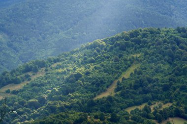 Yaz sabahı ormanlarla kaplı dağların havadan görünüşü.