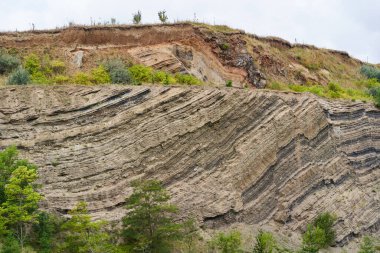 Bazalt kayaları, kumtaşı, gündüz taş ocağında yosun.