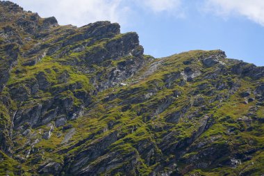 Kayalık dağ zirveleri ve yaz sonlarında zirve, canlı bir manzara. 