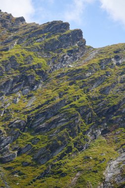 Kayalık dağ zirveleri ve yaz sonlarında zirve, canlı bir manzara. 