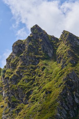 Gündüz dağ manzarası ve yaz sonlarında zirve, hareketli manzara