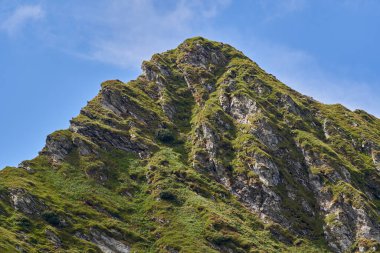 Kayalık dağ zirveleri ve yaz sonlarında zirve, canlı bir manzara.