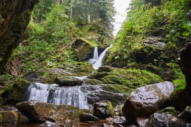 Yaz sonu manzarası. Ormanda bir şelale var.