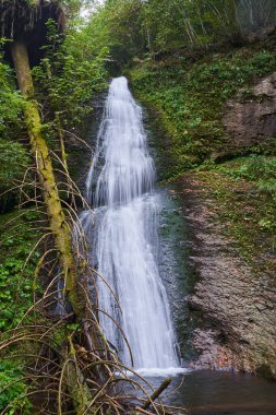 Yaz sonu manzarası. Ormanda bir şelale var.