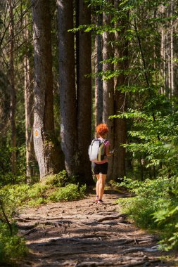 Sırt çantalı, dağlarda gezen kıvırcık kadın yürüyüşçü. 