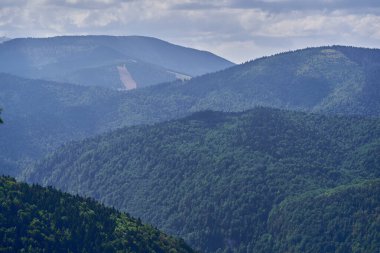 Dağlarla kaplı yaz manzarası yaprak döken ve kozalaklı ağaçlarla kaplı. 
