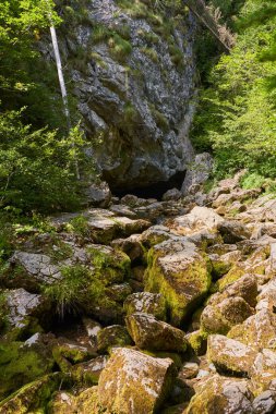 Dağlarda kurumuş nehir yatağı ve yosunlarla kaplı büyük kayalar.
