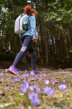 Sırt çantalı bir kadın, dağlarda kır çiçekleriyle bir patikada tek başına yürüyüş yapıyor. 