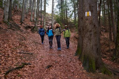 Yağmurlu bir günde sırt çantalı kadınlar ormanda yürüyüş yapıyor.