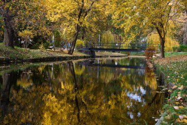 Sonbahar boyunca parktaki su kanalında köprü ve renkli ağaçlar var.