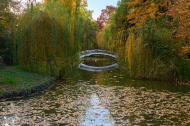 Sonbahar boyunca parktaki su kanalında köprü ve renkli ağaçlar var.