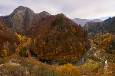 Dağlarda sonbahar, renkli ormanlarla kaplı, vadide akan bir nehir, görkemli manzaralı canlı bir manzara.